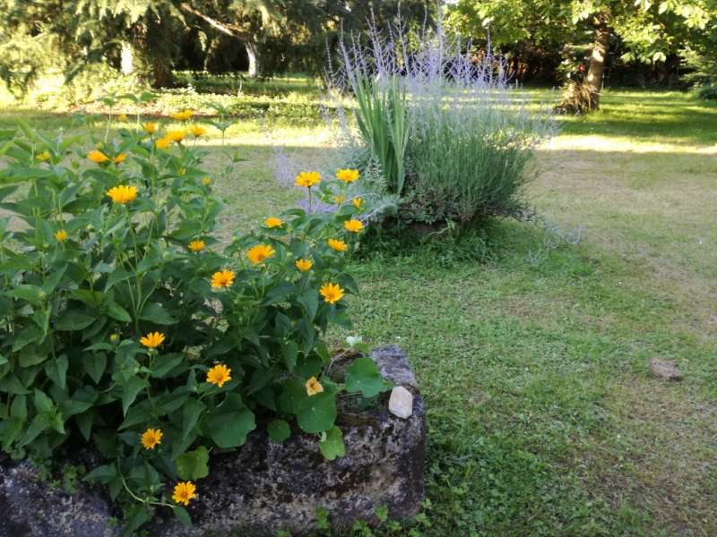 Jardin