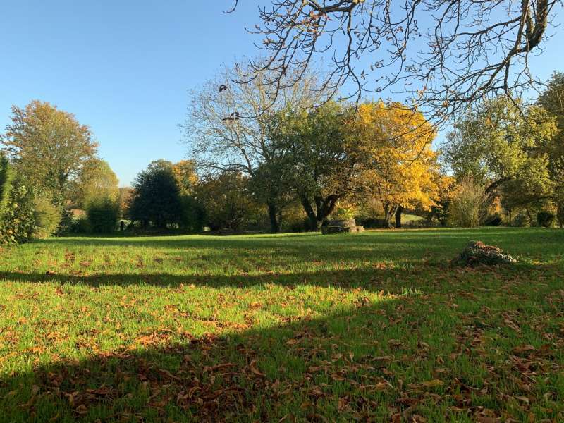 Jardin BRUNO PAQUET IMMOBILIER