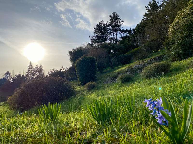 Jardin